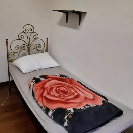 Centeral Apartment Turin With Shared Bathroom And Kitchen 公寓 都灵